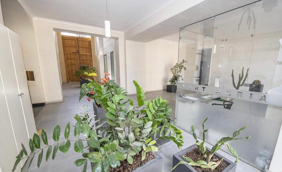 Gran Cancelliere Apartment With Parking 巴勒莫 外观 照片